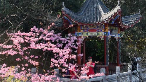 Wangxianling Scenic Tourist Area