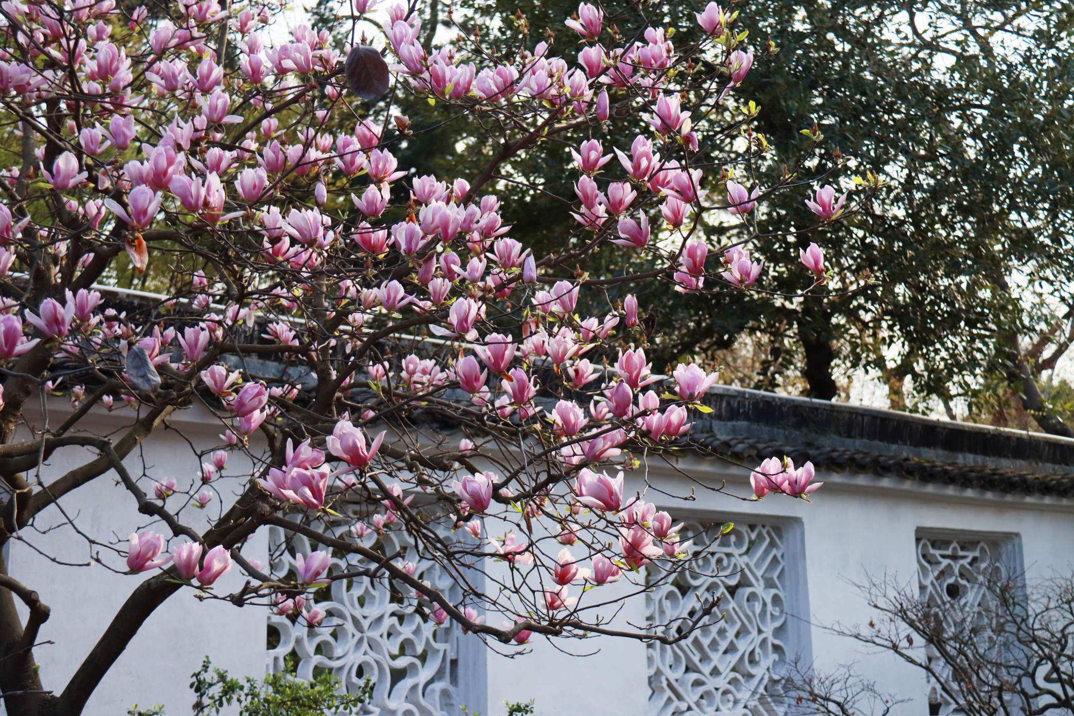 Top 50 Best Things to Do in Suzhou