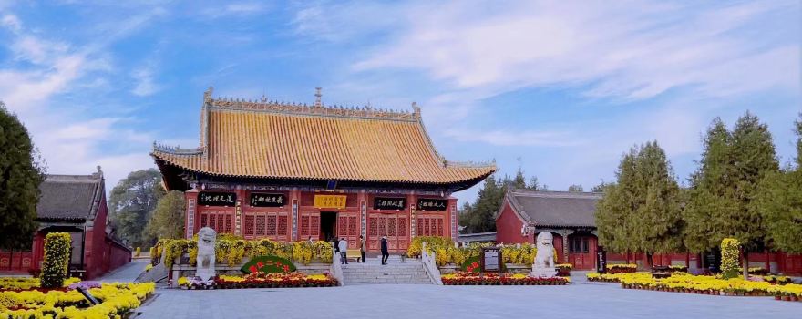 河南周口旅游攻略:探寻中原文化的魅力之城 河南周口旅游攻略:探寻中原文化的魅力之城