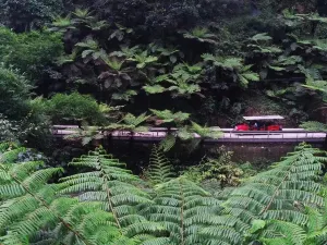 Jiayang-Suoluo Lake