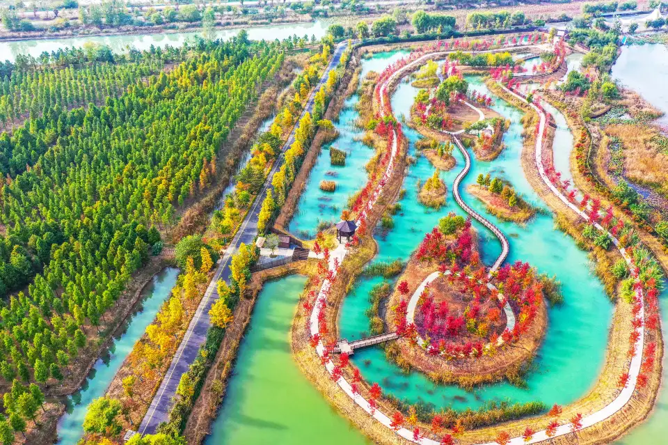 3_Sihong Hongze Lake Wetland
