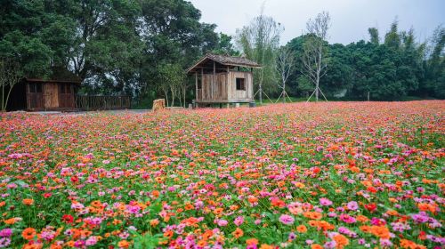 Dongnayuwan Sceneic Area