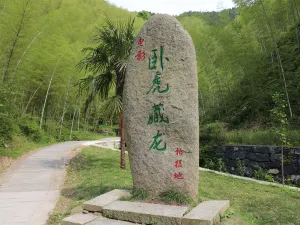 Bamboo Forest In Mukeng