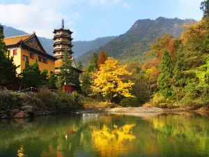 天目山自然保護區