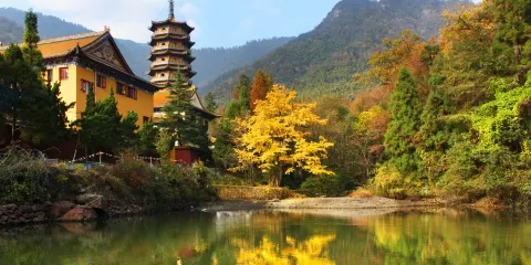 天目山自然保護區