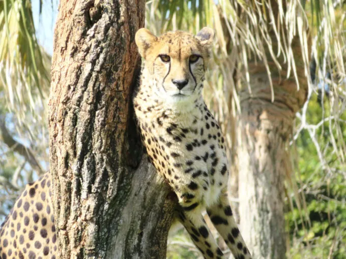 4_구주쿠시마 동식물원 모리 키라라