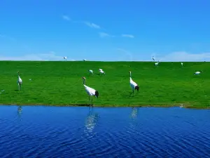 Zhalong Ecotourism Area