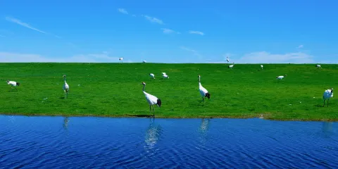 紮龍生態旅遊區單程船票所有旅客