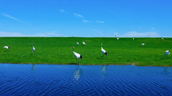 親子景點