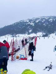 紅池壩國際滑雪度假村