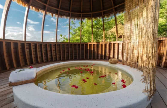 清水巖温泉度假村溫泉票+半朵雲圍爐煮茶套餐4人