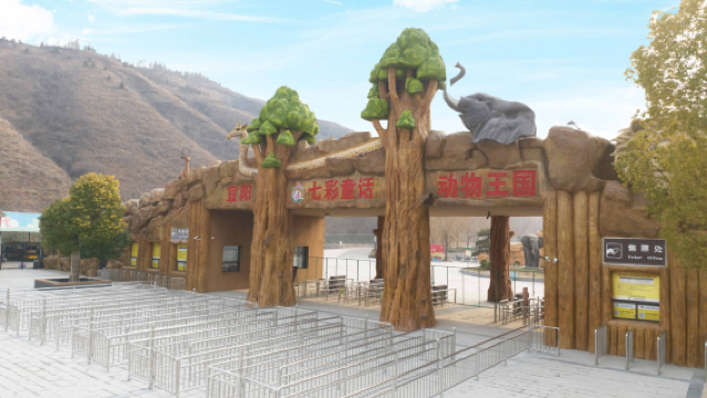 Luoyang Sea of Colorful Flowers