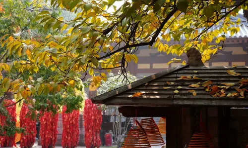 Da Xing Shan Temple