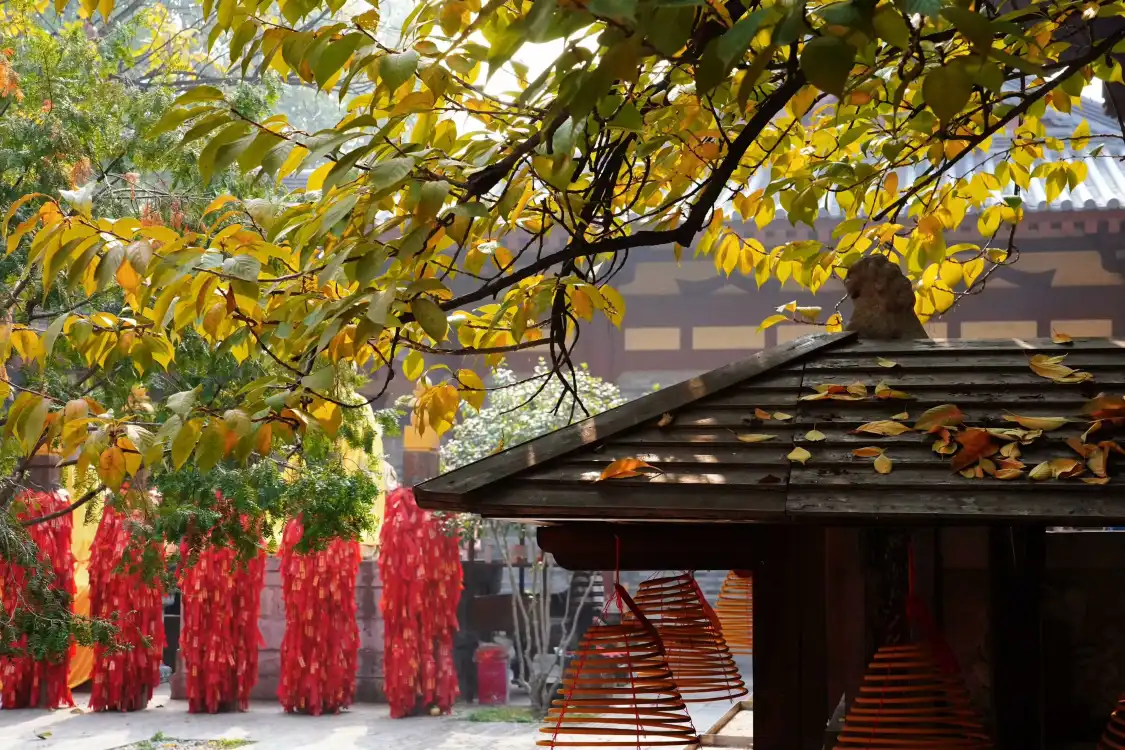 Hotels near Da Xing Shan Temple