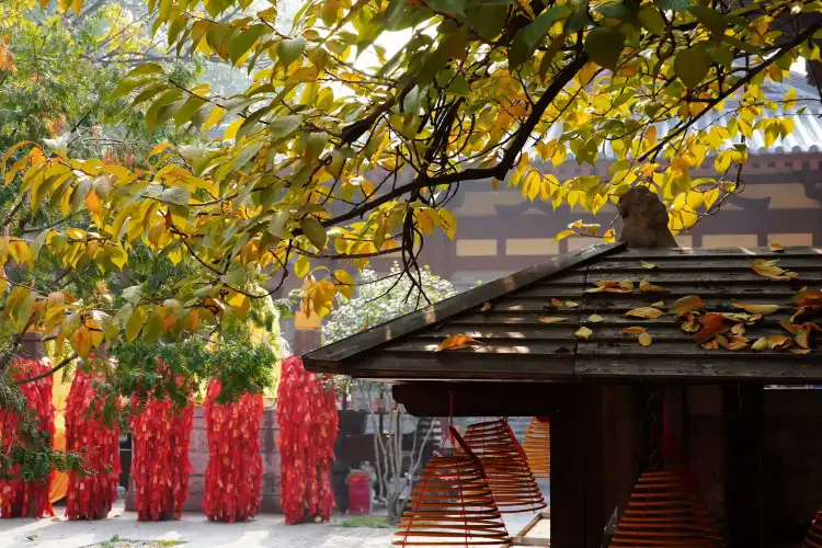 Hotels near Da Xing Shan Temple