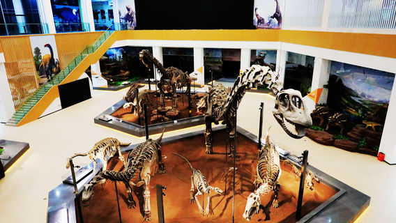 Liujiaxia Dinosaur National Geology Park