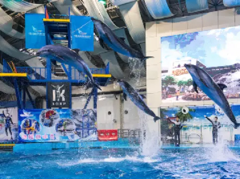 合肥海洋世界