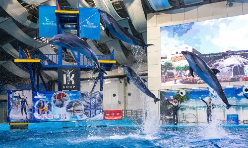 Hefei Andover Oceanarium