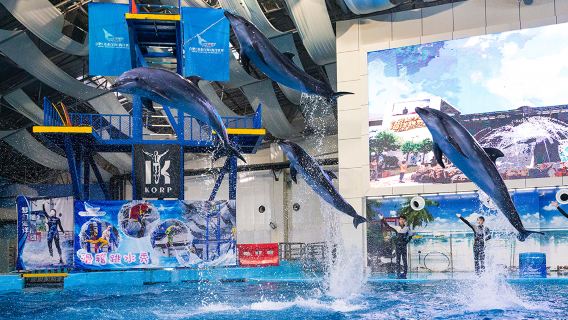 Hefei Andover Oceanarium