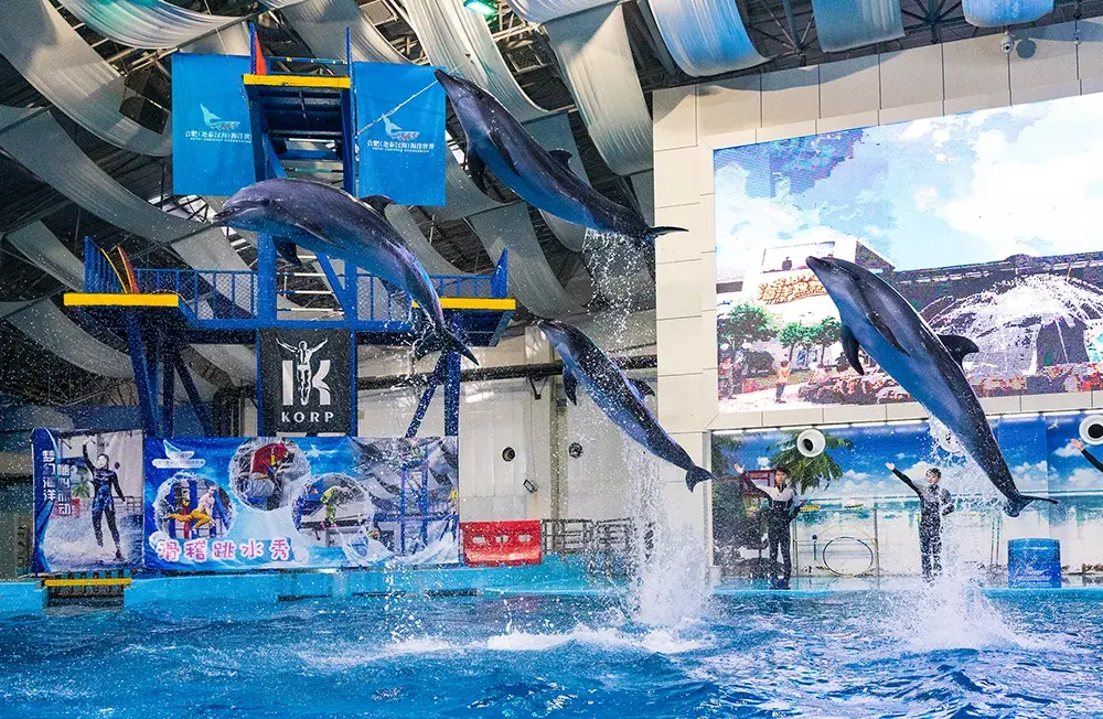 1_Hefei Andover Oceanarium