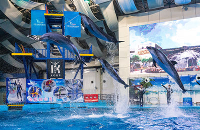 Hefei Andover Oceanarium