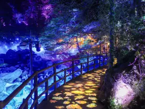 Wugong Mountain · Fushan Fantasy Night