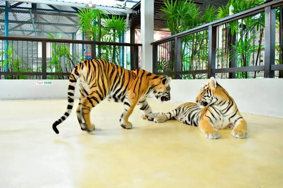 3_สวนเสือ พัทยา