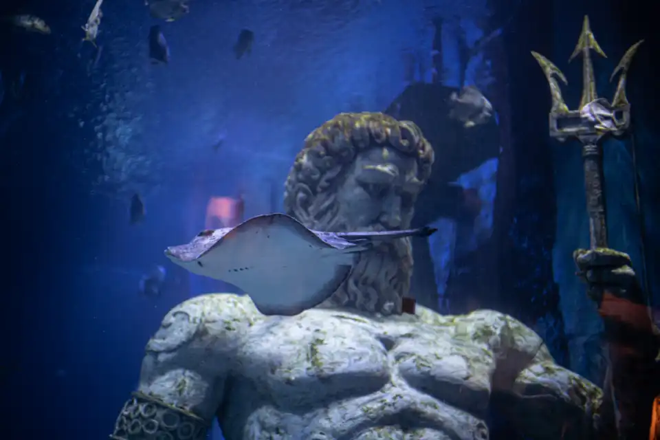 5_Grandview Aquarium