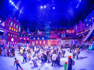 Zhengzhou Enjoy Snow World