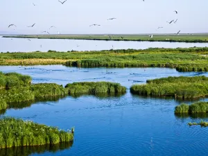 Dali Lake