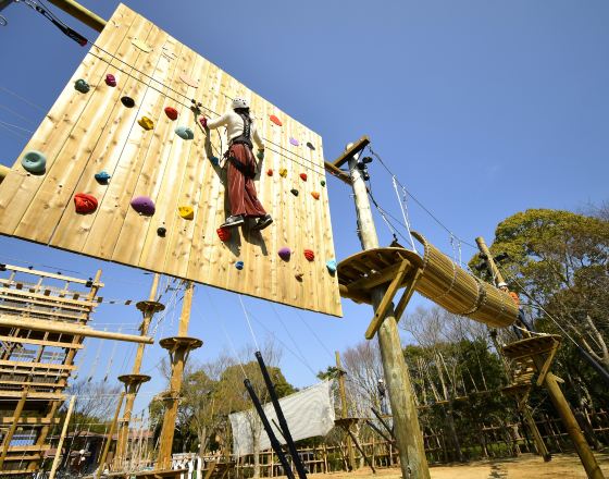 淡路市 自由行套票