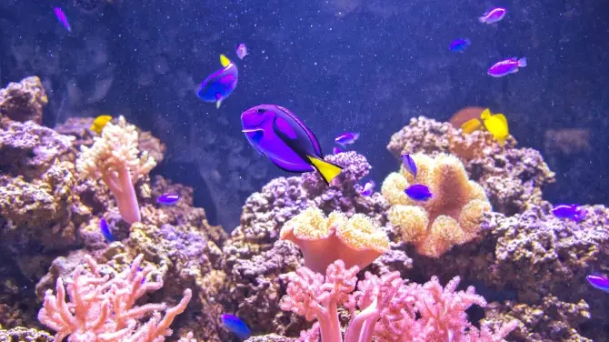 2_澎湖水族館