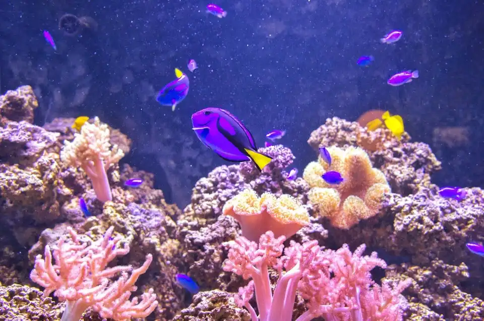 2_澎湖水族館