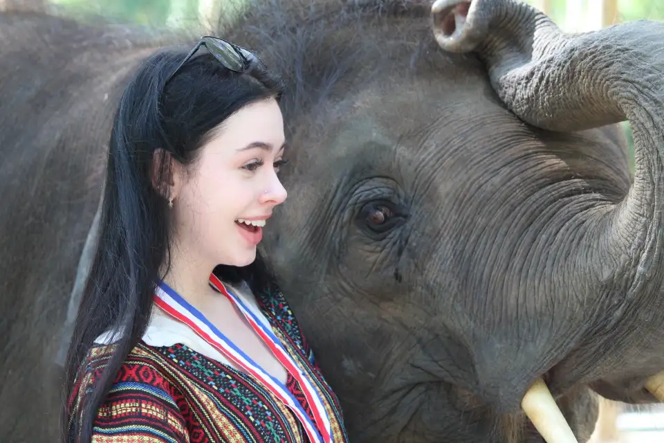 4_Elephant Care Park Phuket