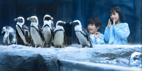 上海長風海洋世界