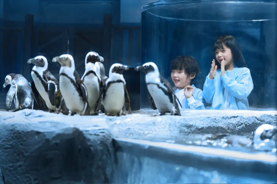 1_Shanghai Chang Feng Ocean World