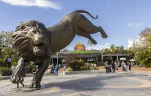San Diego Zoo