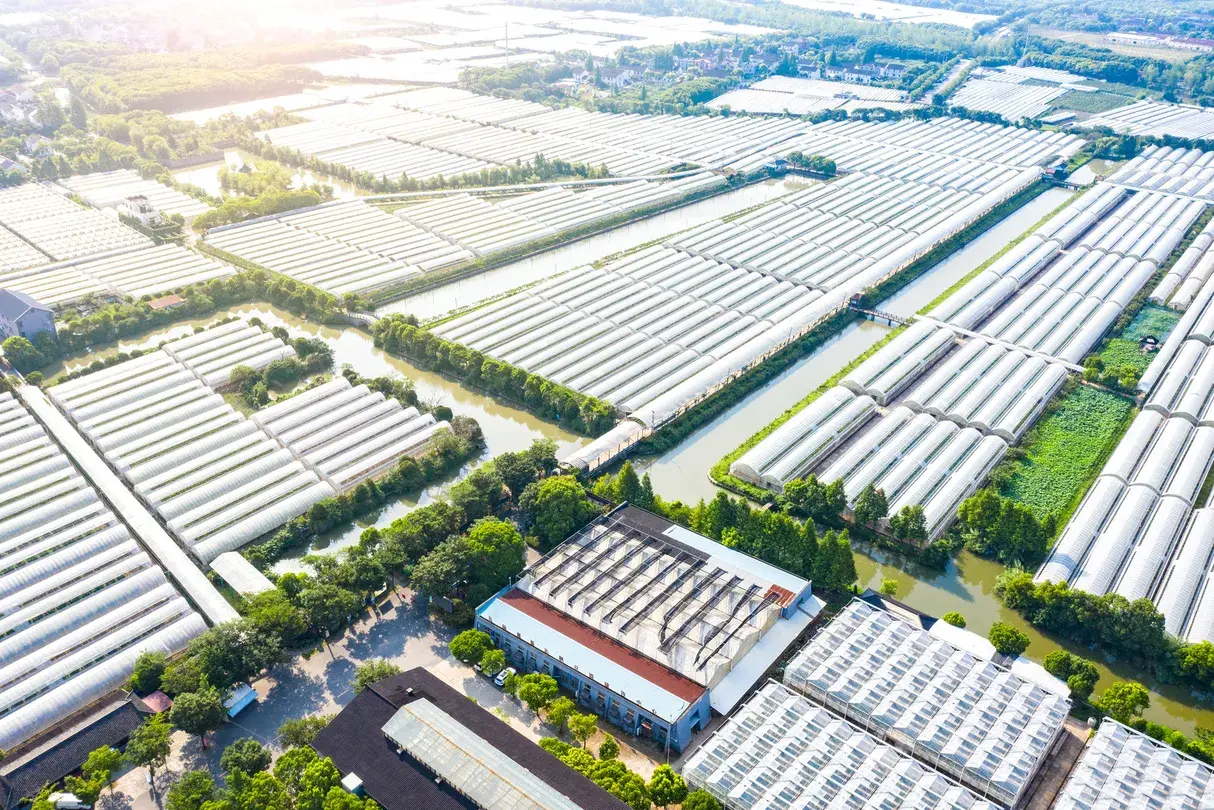 3_馬陸葡萄主題公園