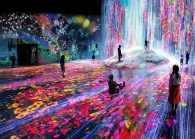 Digital National Art Museum