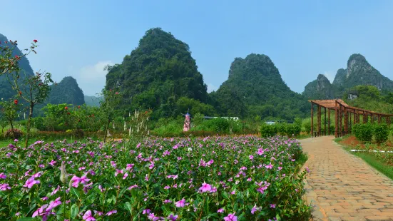 峯林曉鎮