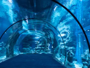 Zhoushan Changqiao Ocean Park