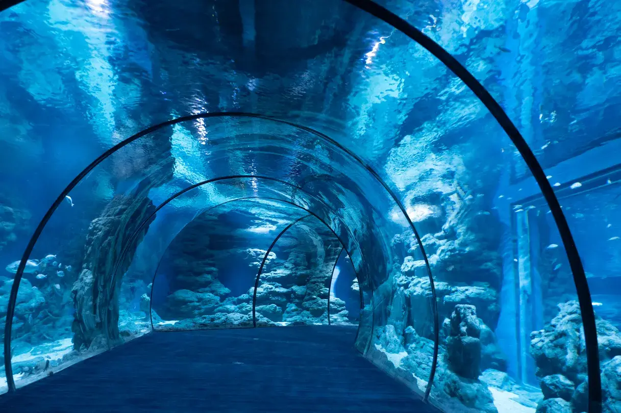 3_舟山長喬海洋公園