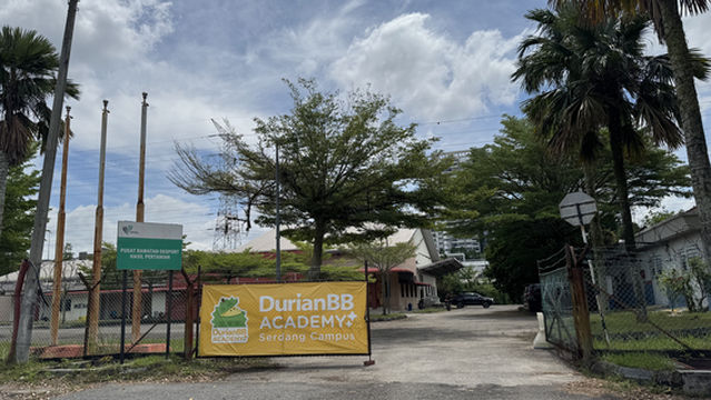 DurianBB Academy