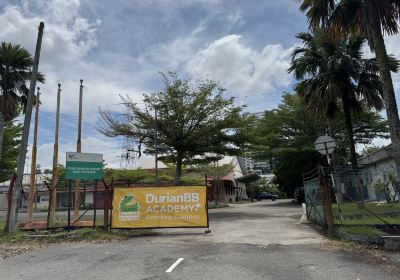 Serdang