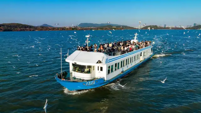 鄰近黿頭渚的酒店