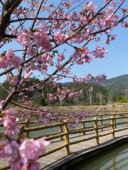 雲峯山生態旅遊區