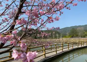 雲峯山生態旅遊區