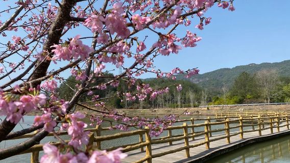 Yunfeng Mountain Ecological Tourism Area