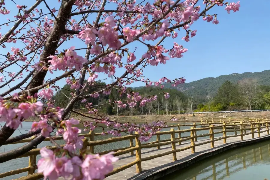 雲峯山生態旅遊區