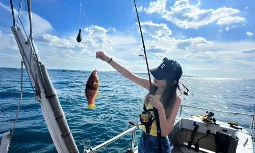 Sea Fishing in Wanning